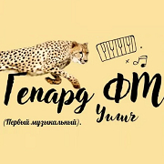 Гепард FM