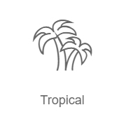 Tropical