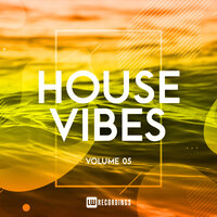 House Vibes, Vol. 05