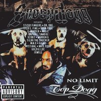 No Limit Top Dogg, 1999