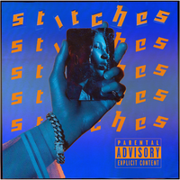 Stitches, 2019