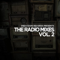 The Radio Mixes Vol. 2, 2018