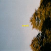 Small, 2019