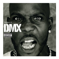 The Best Of DMX, 2010