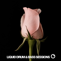 Liquid Drum & Bass Sessions Vol 12, 2020