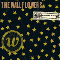 The Wallflowers - One Headlight