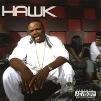 Hawk, 2002