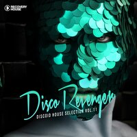 Disco Revengers, Vol. 11: Discoid House Selection