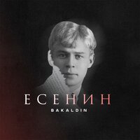 BAKALDIN - Есенин