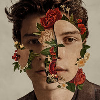 Shawn Mendes, 2018