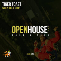 Tiger Toast - When They Drop