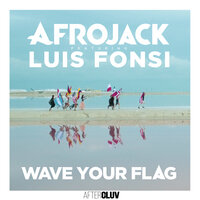 Wave Your Flag, 2017