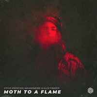 Moth To A Flame