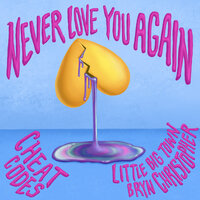 Never Love You Again (with Little Big Town & Bryn Christopher), 2021