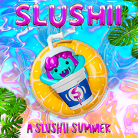 A Slushii Summer, 2022