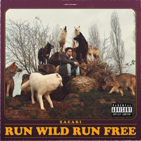 Run Wild Run Free, 2019