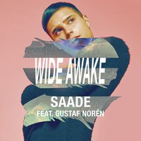 Wide Awake, 2016