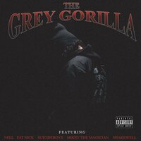 Grey Gorilla, 2017