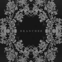 Branches