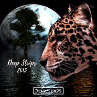 Deep Strips Year End