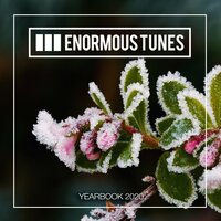 Enormous Tunes - The Yearbook 2020, 2020