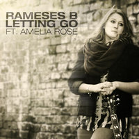 Letting Go (feat. Amelia Rose), 2012