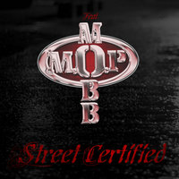 Street Certified, 2014