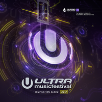 Ultra Music Festival 2017, 2017