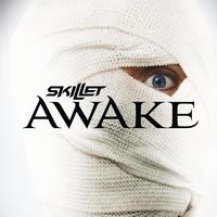 Skillet - Would It Matter