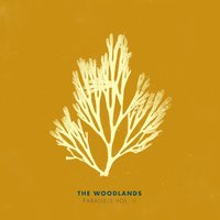 The Woodlands