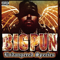 Big Pun