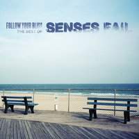 Senses Fail